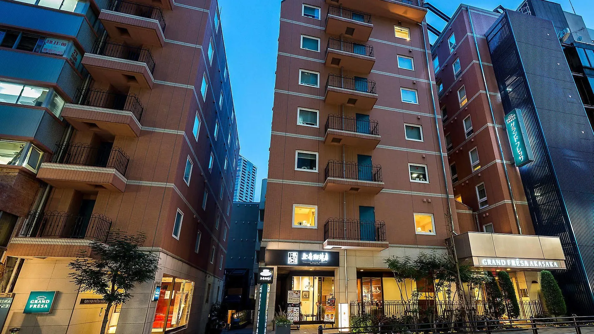 Hotel Sotetsu Fresa Inn Tokyo-Akasaka