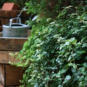 Hotel Garden ***